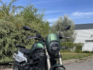 BENELLI LEONCINO 800