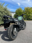 BENELLI LEONCINO 800